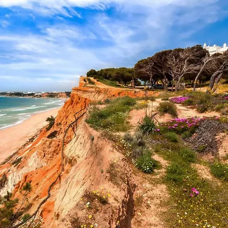 Apartment Apartamento Rua Do Lago 88 Albufeira